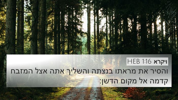 ויקרא 1:16 HEB 4K Wallpaper - והסיר את מראתו בנצתה - 4K Wallpaper Bible Verse