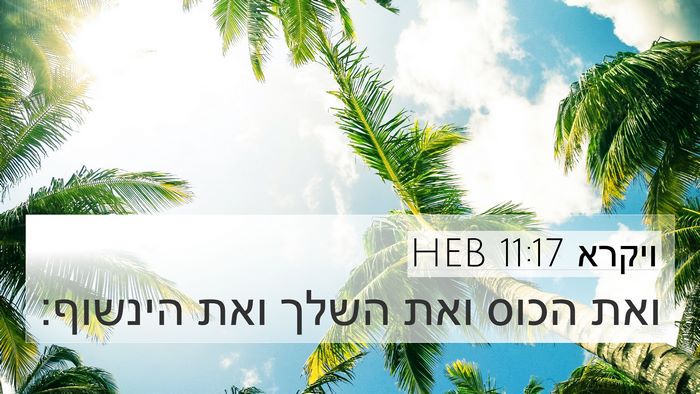 ויקרא 11:17 HEB 4K Wallpaper - ואת הכוס ואת השלך ואת - 4K Wallpaper Bible Verse