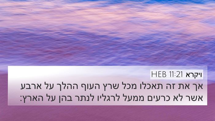 ויקרא 11:21 HEB 4K Wallpaper - אך את זה תאכלו מכל שרץ העוף - 4K Wallpaper Bible Verse
