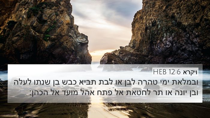 ויקרא 12:6 HEB Bible Verse Image
