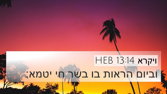 ויקרא 13:14 HEB Bible Verse Image