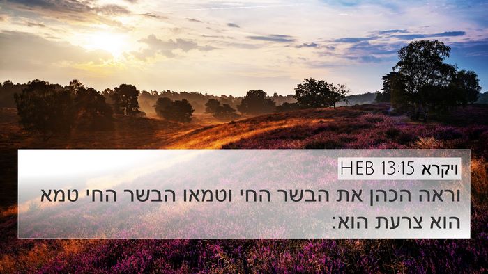 ויקרא 13:15 HEB 4K Wallpaper - וראה הכהן את הבשר החי וטמאו - 4K Wallpaper Bible Verse