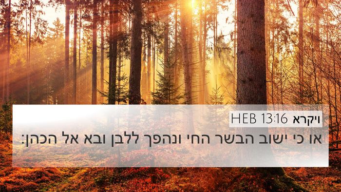 ויקרא 13:16 HEB 4K Wallpaper - או כי ישוב הבשר החי ונהפך - 4K Wallpaper Bible Verse
