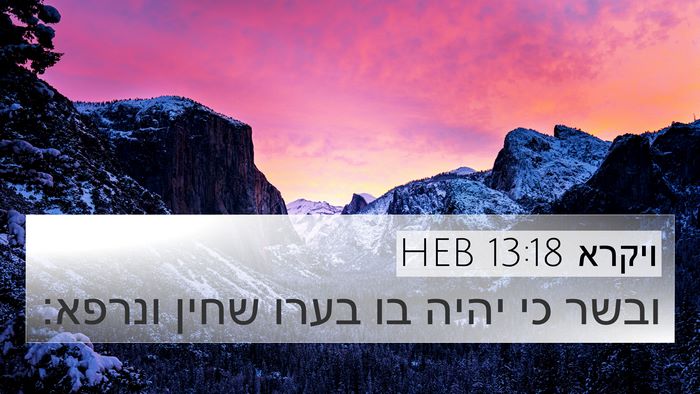 ויקרא 13:18 HEB Bible Verse Image