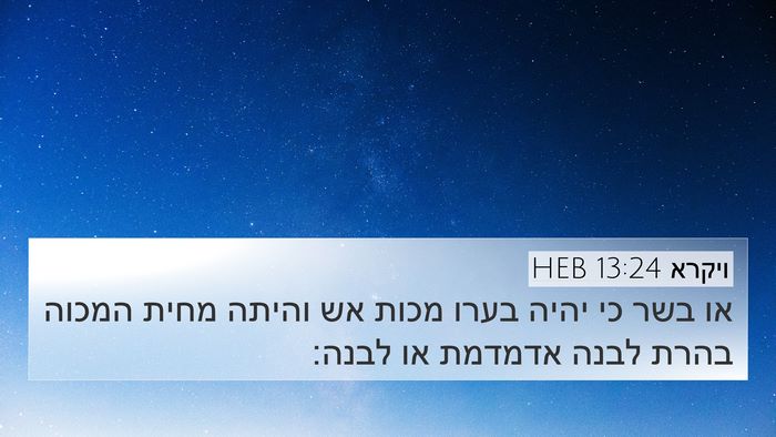 ויקרא 13:24 HEB Bible Verse Image