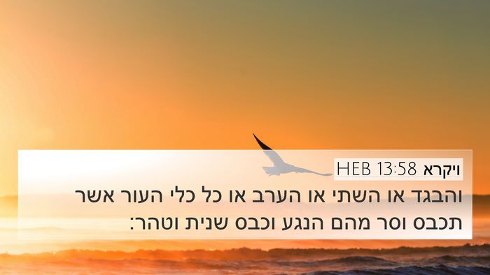 ויקרא 13:58 HEB 4K Wallpaper - והבגד או השתי או הערב או כל - 4K Wallpaper Bible Verse