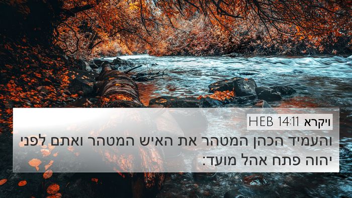 ויקרא 14:11 HEB 4K Wallpaper - והעמיד הכהן המטהר את האיש - 4K Wallpaper Bible Verse