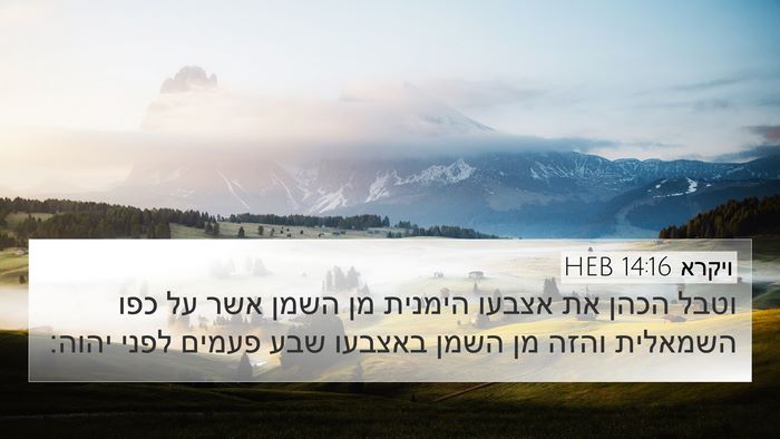 ויקרא 14:16 HEB 4K Wallpaper - וטבל הכהן את אצבעו הימנית - 4K Wallpaper Bible Verse
