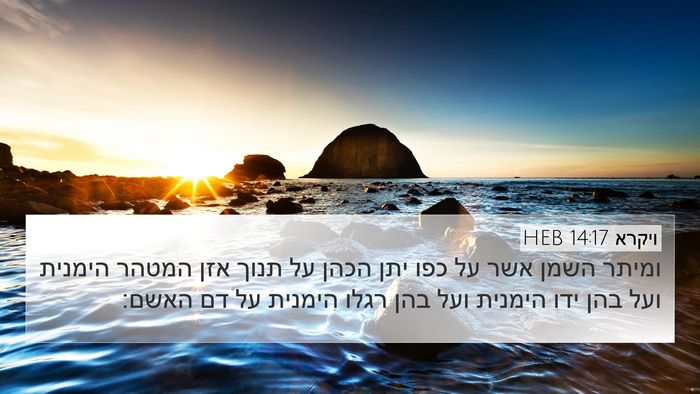 ויקרא 14:17 HEB Bible Verse Image