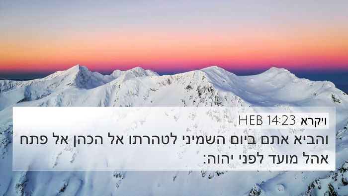 ויקרא 14:23 HEB Bible Verse Image