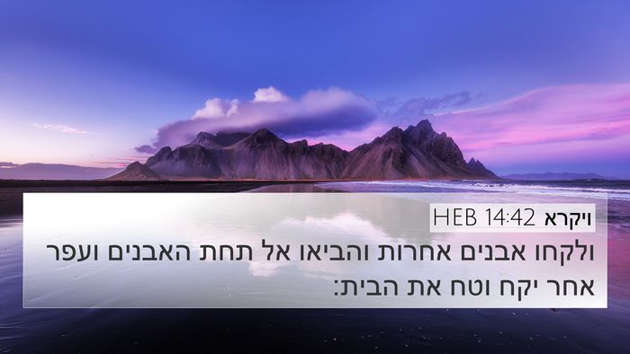 ויקרא 14:42 HEB 4K Wallpaper - ולקחו אבנים אחרות והביאו - 4K Wallpaper Bible Verse