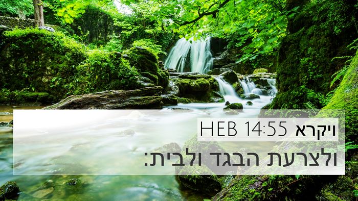 ויקרא 14:55 HEB 4K Wallpaper - ולצרעת הבגד - 4K Wallpaper Bible Verse