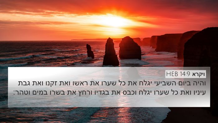 ויקרא 14:9 HEB Bible Verse Image
