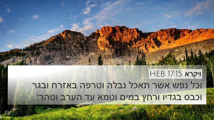 ויקרא 17:15 HEB Bible Verse Image