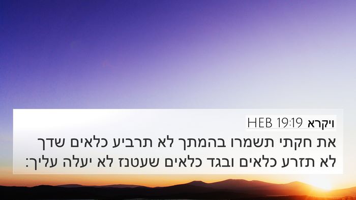 ויקרא 19:19 HEB Bible Verse Image