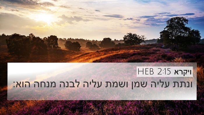 ויקרא 2:15 HEB 4K Wallpaper - ונתת עליה שמן ושמת עליה - 4K Wallpaper Bible Verse