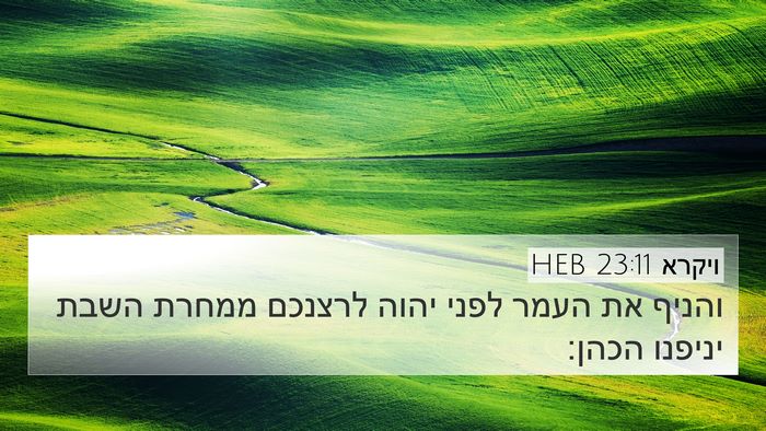 ויקרא 23:11 HEB 4K Wallpaper - והניף את העמר לפני יהוה - 4K Wallpaper Bible Verse