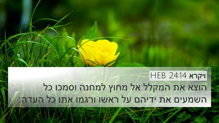 ויקרא 24:14 HEB Bible Verse Image
