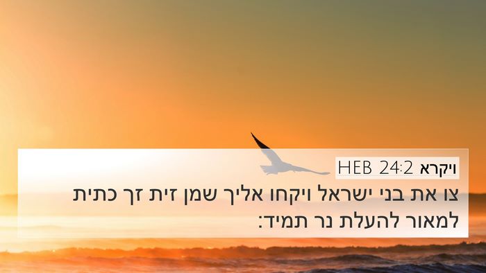 ויקרא 24:2 HEB Bible Verse Image