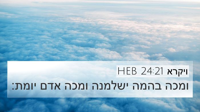 ויקרא 24:21 HEB Bible Verse Image