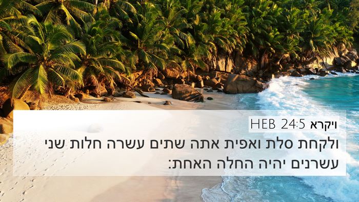ויקרא 24:5 HEB Bible Verse Image