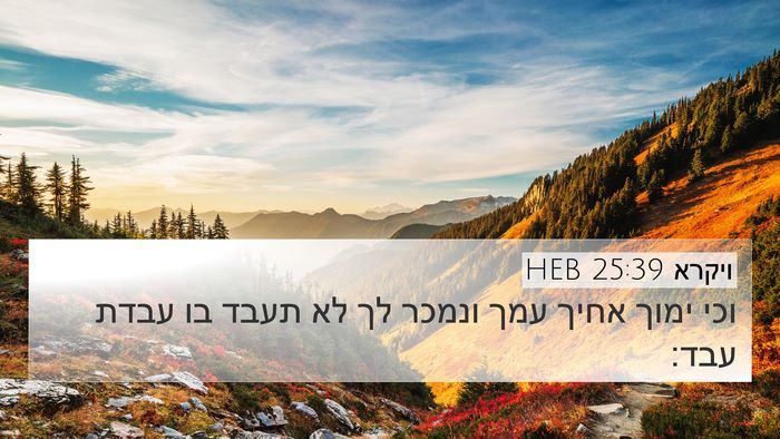 ויקרא 25:39 HEB Bible Verse Image