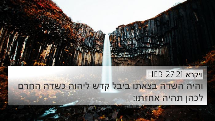 ויקרא 27:21 HEB 4K Wallpaper - והיה השדה בצאתו ביבל קדש - 4K Wallpaper Bible Verse