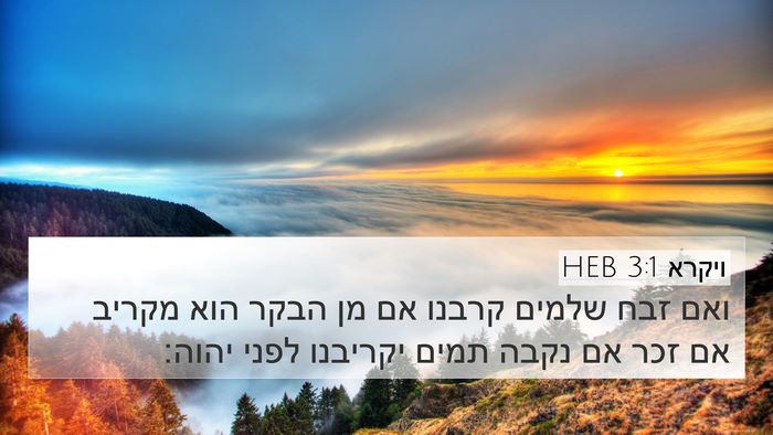 ויקרא 3:1 HEB Bible Verse Image