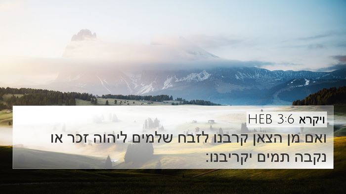 ויקרא 3:6 HEB Bible Verse Image