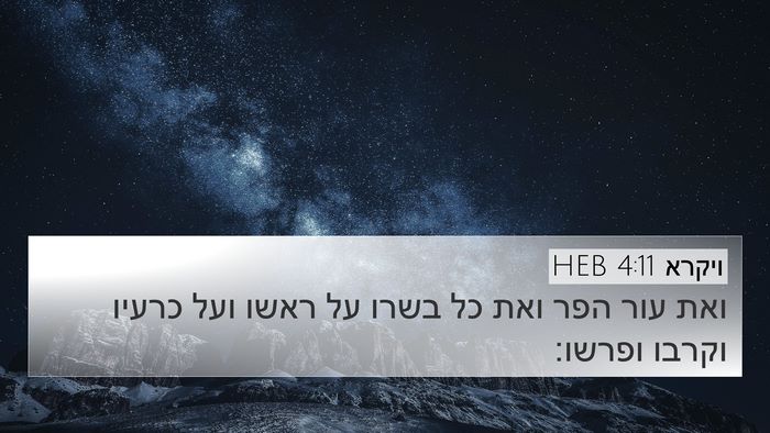 ויקרא 4:11 HEB 4K Wallpaper - ואת עור הפר ואת כל בשרו על - 4K Wallpaper Bible Verse