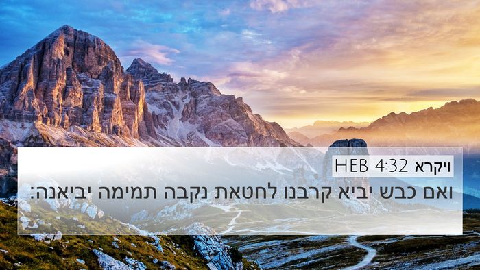 ויקרא 4:32 HEB 4K Wallpaper - ואם כבש יביא קרבנו לחטאת - 4K Wallpaper Bible Verse