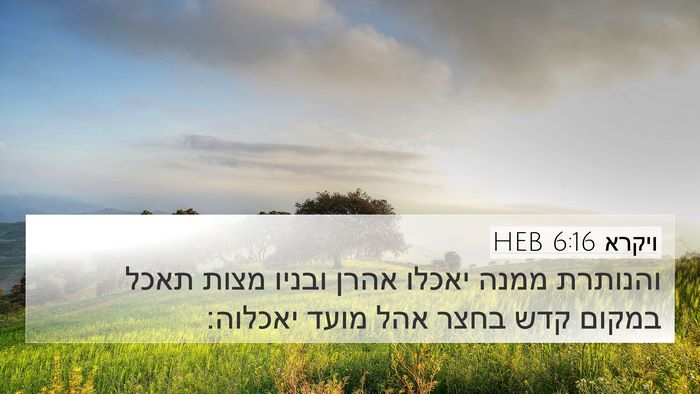 ויקרא 6:16 HEB Bible Verse Image