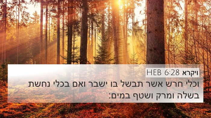 ויקרא 6:28 HEB Bible Verse Image