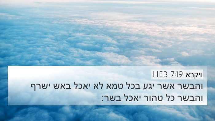 ויקרא 7:19 HEB 4K Wallpaper - והבשר אשר יגע בכל טמא לא - 4K Wallpaper Bible Verse