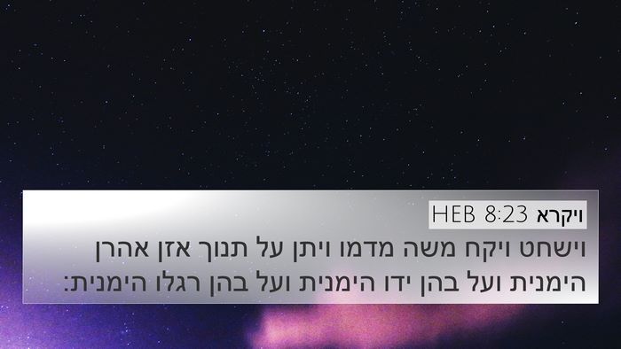 ויקרא 8:23 HEB 4K Wallpaper - וישחט ויקח משה מדמו ויתן על - 4K Wallpaper Bible Verse