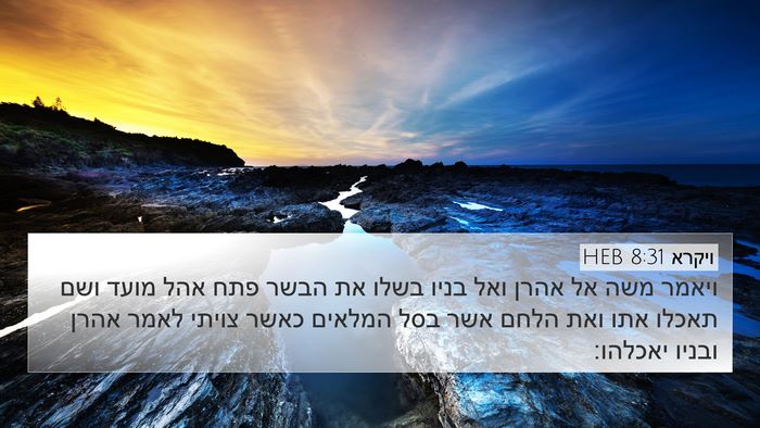ויקרא 8:31 HEB Bible Verse Image