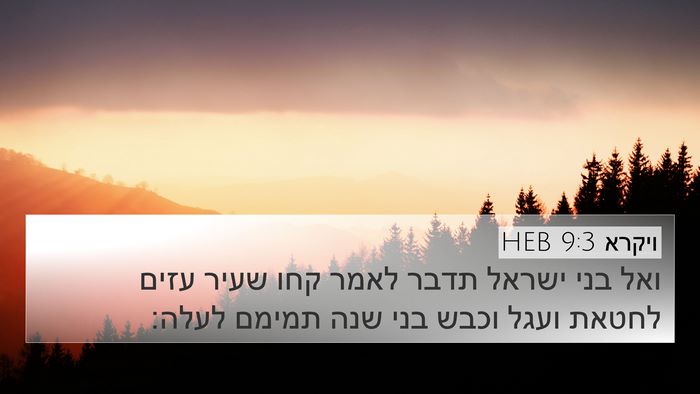 ויקרא 9:3 HEB Bible Verse Image