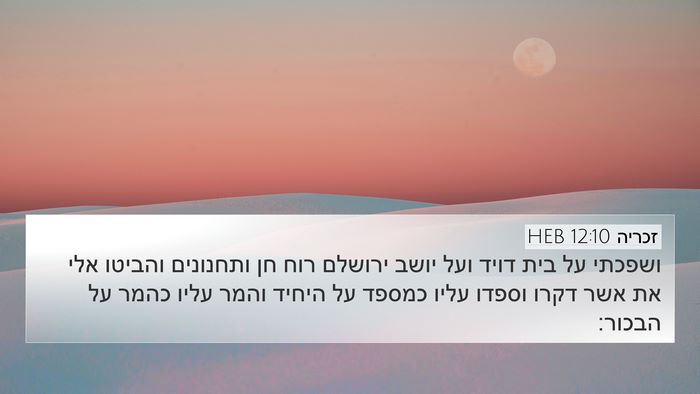 זכריה 12:10 HEB Bible Verse Image