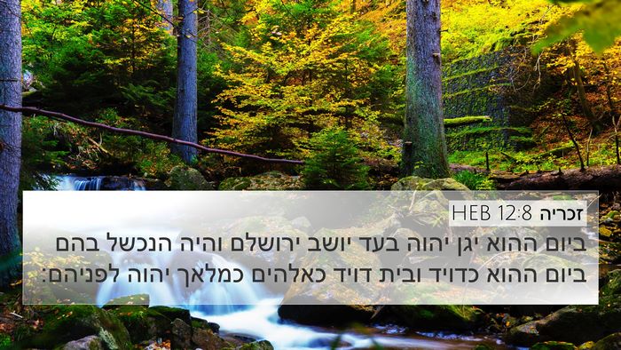 זכריה 12:8 HEB Bible Verse Image
