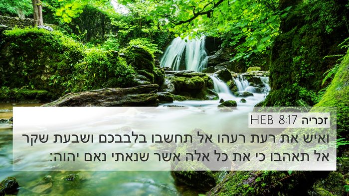 זכריה 8:17 HEB Bible Verse Image