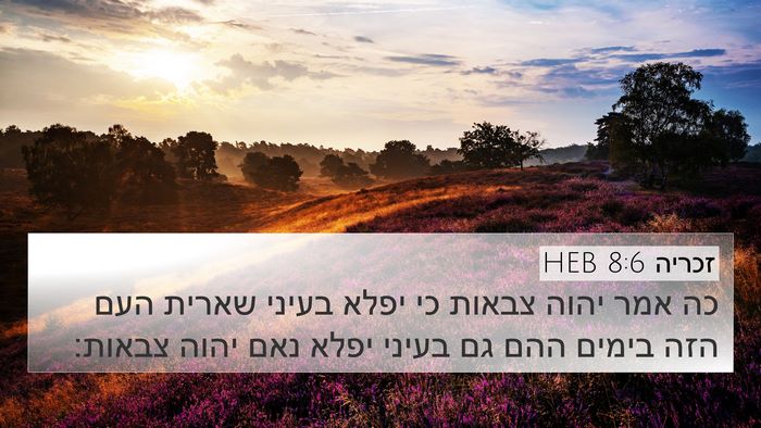 זכריה 8:6 HEB Bible Verse Image