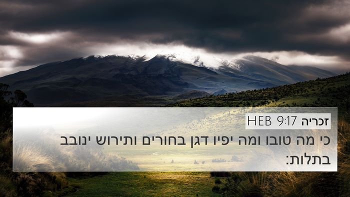 זכריה 9:17 HEB Bible Verse Image