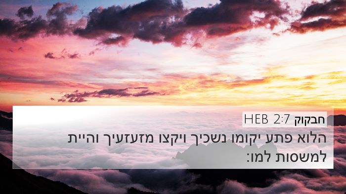 חבקוק 2:7 HEB Bible Verse Image