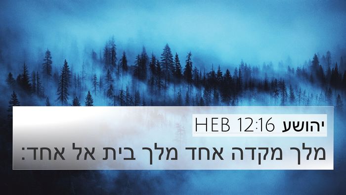 יהושע 12:16 HEB 4K Wallpaper - מלך מקדה אחד מלך בית אל - 4K Wallpaper Bible Verse