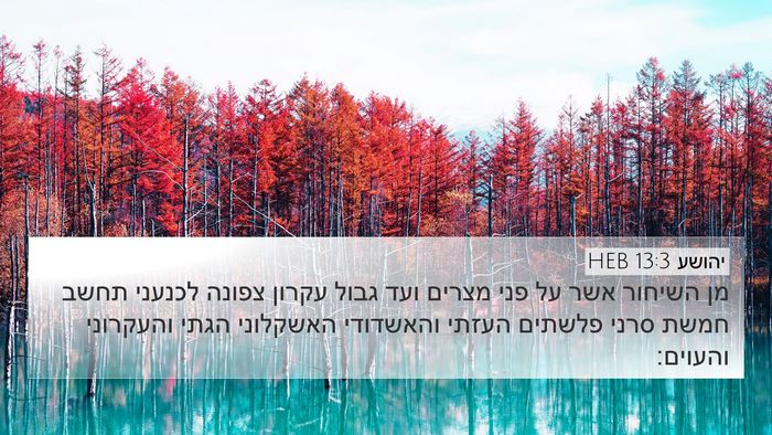 יהושע 13:3 HEB Bible Verse Image