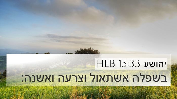 יהושע 15:33 HEB Bible Verse Image