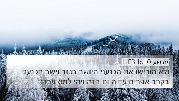 יהושע 16:10 HEB Bible Verse Image