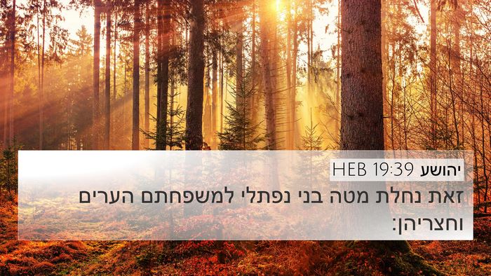 יהושע 19:39 HEB 4K Wallpaper - זאת נחלת מטה בני נפתלי - 4K Wallpaper Bible Verse