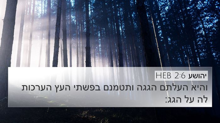 יהושע 2:6 HEB Bible Verse Image