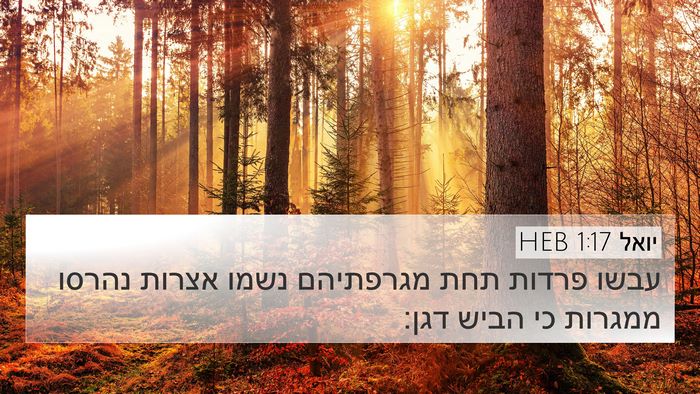 יואל 1:17 HEB Bible Verse Image